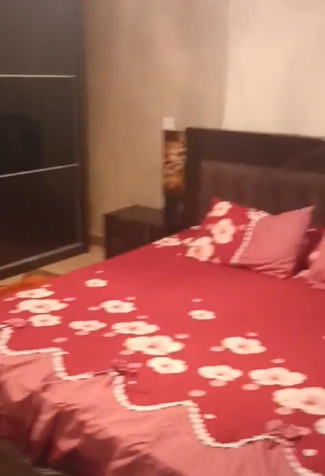 Palm Apartamento *